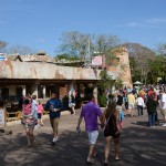 Overlooked-Animal-Kingdom-020
