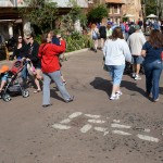 Overlooked-Animal-Kingdom-021