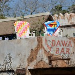 Overlooked-Animal-Kingdom-022