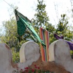 Overlooked-Animal-Kingdom-024