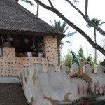Overlooked-Animal-Kingdom-025