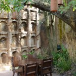 Overlooked-Animal-Kingdom-027
