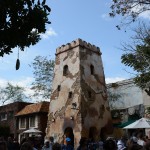 Overlooked-Animal-Kingdom-029