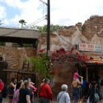 Overlooked-Animal-Kingdom-030