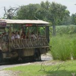 Overlooked-Animal-Kingdom-034