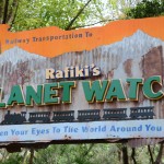Overlooked-Animal-Kingdom-040