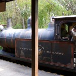Overlooked-Animal-Kingdom-041