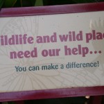 Overlooked-Animal-Kingdom-046
