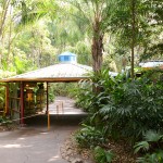 Overlooked-Animal-Kingdom-047