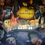 Overlooked-Animal-Kingdom-050