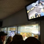 Overlooked-Animal-Kingdom-051