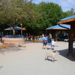 Overlooked-Animal-Kingdom-054