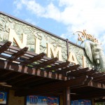 Overlooked-Animal-Kingdom-058